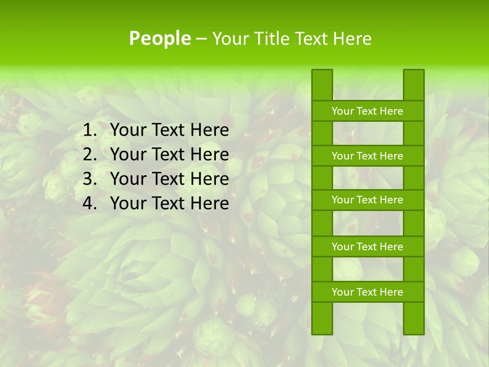 Sempervivum - Hens And Chicks - Sempervivum Soboliferum PowerPoint Template