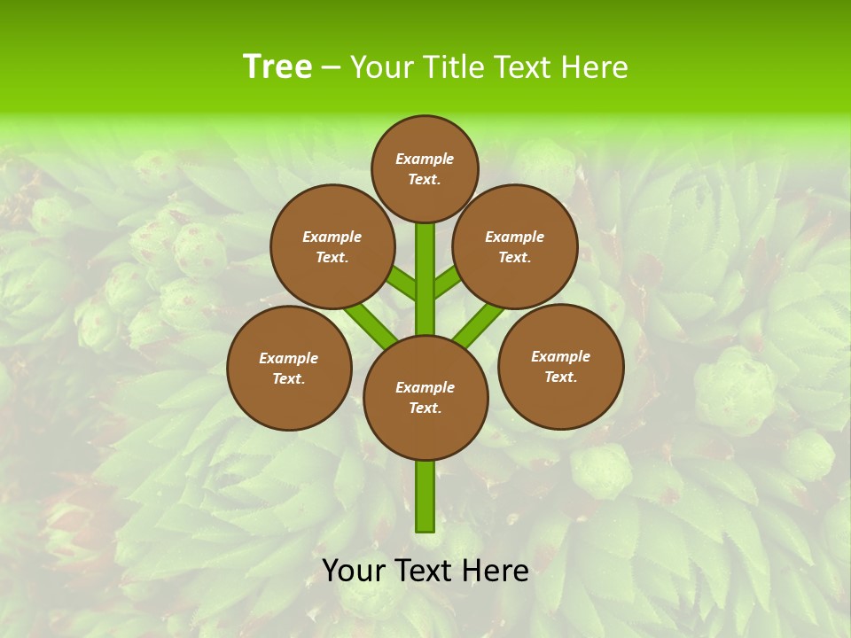 Sempervivum - Hens And Chicks - Sempervivum Soboliferum PowerPoint Template