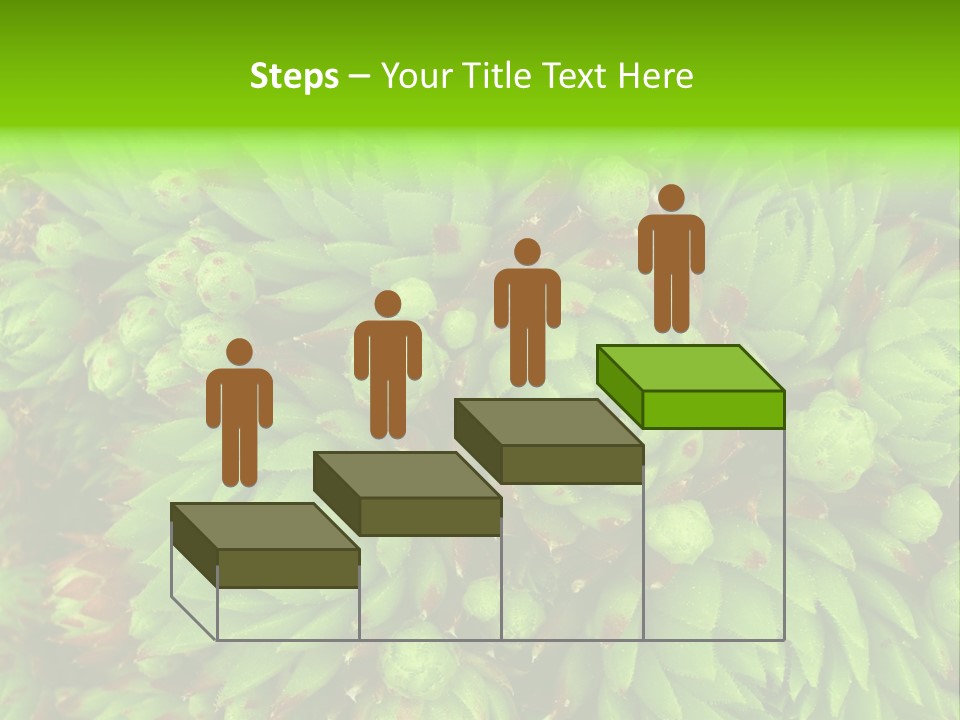 Sempervivum - Hens And Chicks - Sempervivum Soboliferum PowerPoint Template