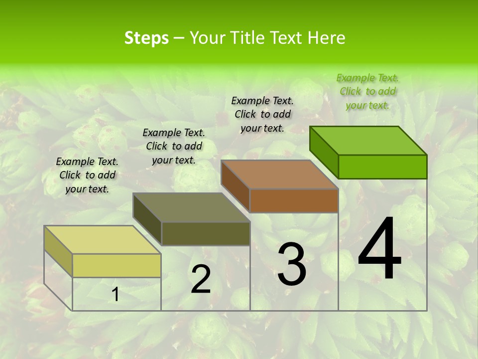 Sempervivum - Hens And Chicks - Sempervivum Soboliferum PowerPoint Template