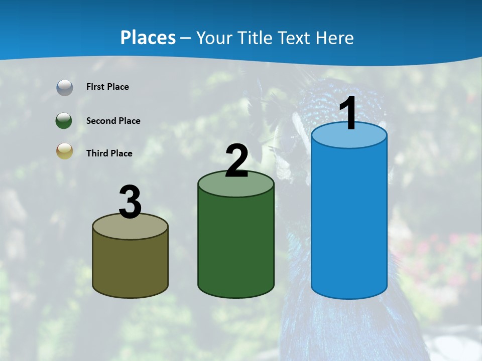 Peacock PowerPoint Template