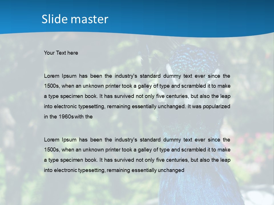 Peacock PowerPoint Template
