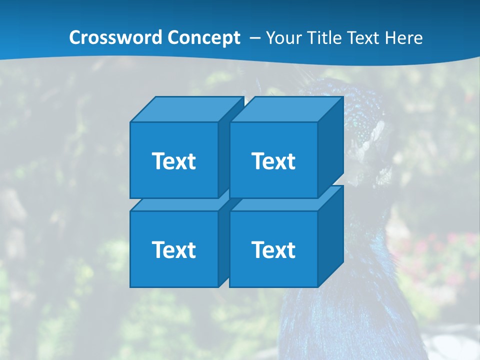 Peacock PowerPoint Template