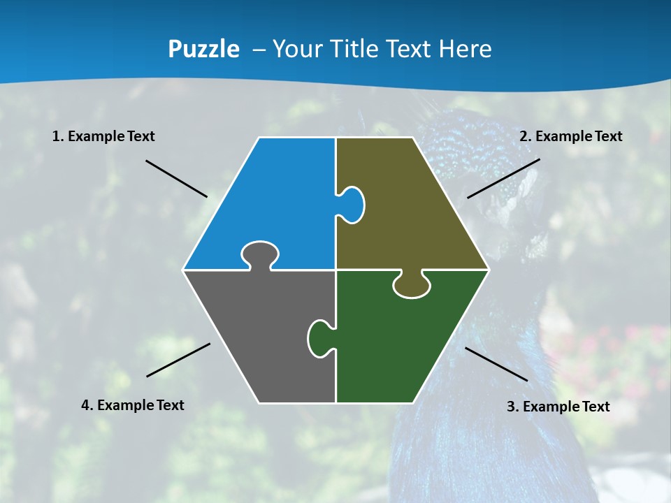 Peacock PowerPoint Template