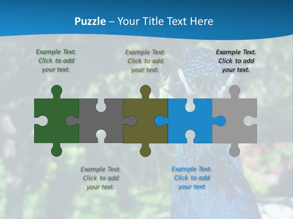 Peacock PowerPoint Template
