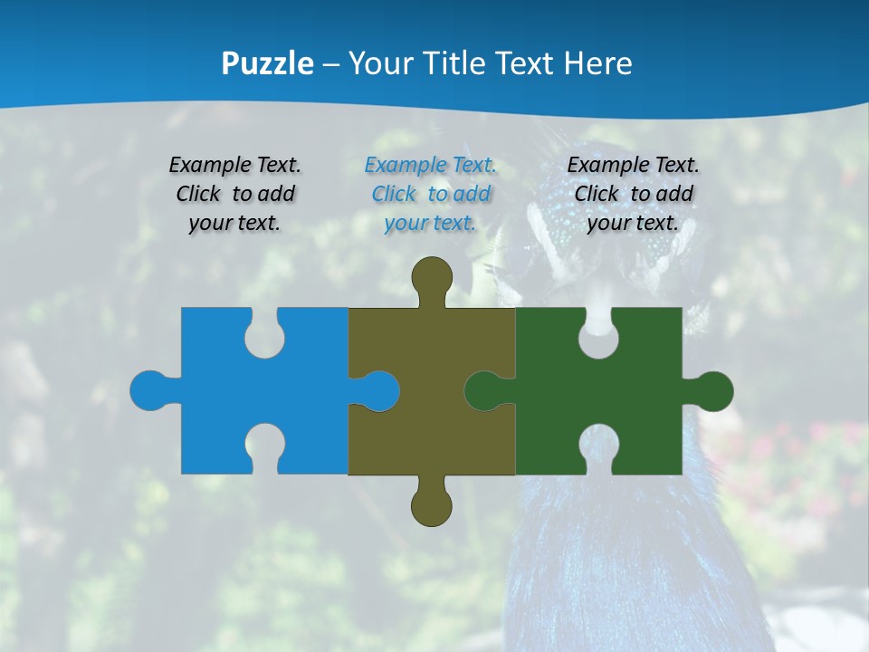 Peacock PowerPoint Template