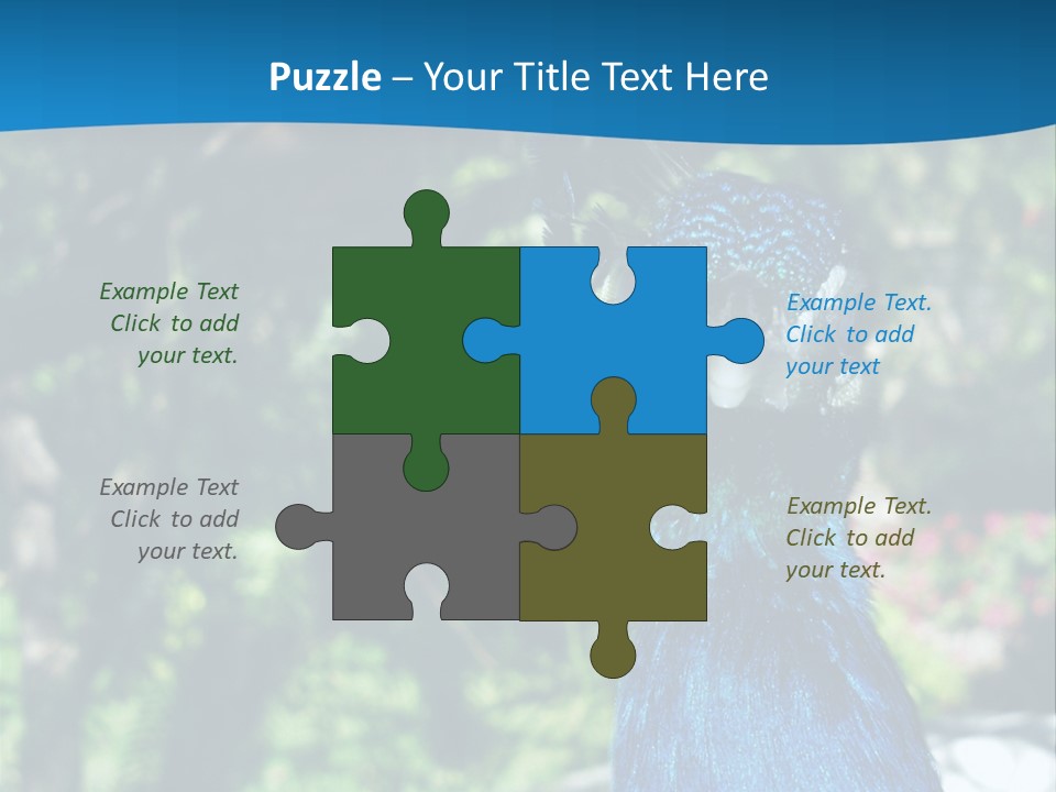 Peacock PowerPoint Template