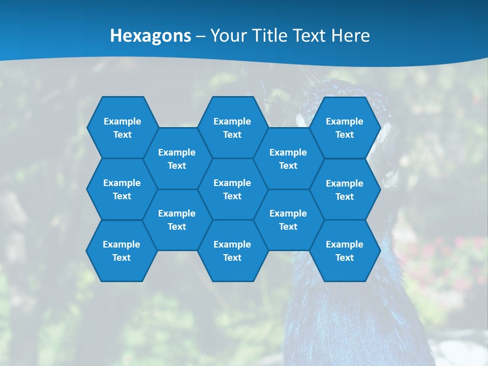 Peacock PowerPoint Template