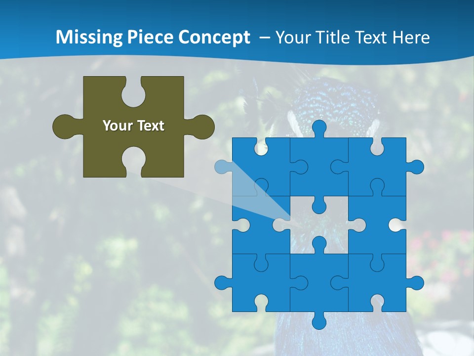 Peacock PowerPoint Template