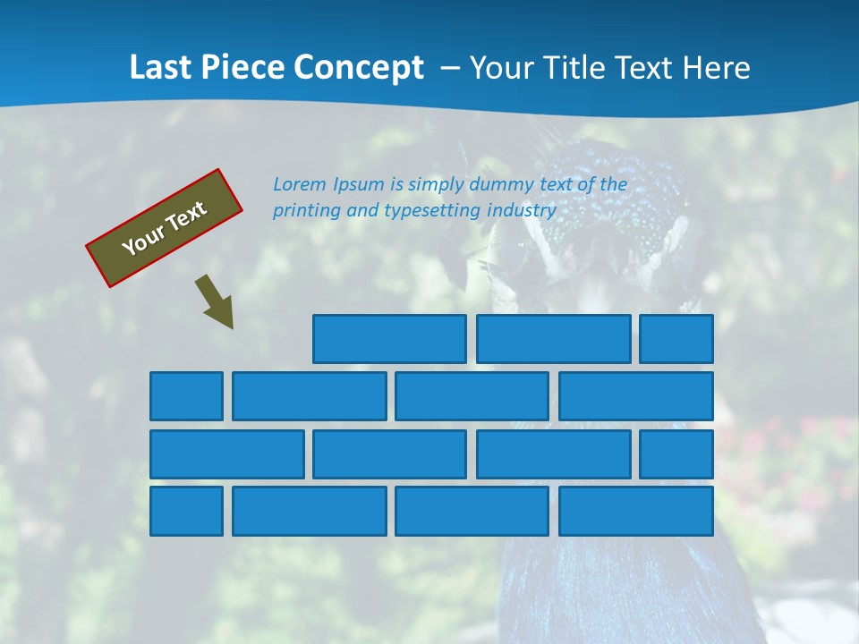 Peacock PowerPoint Template