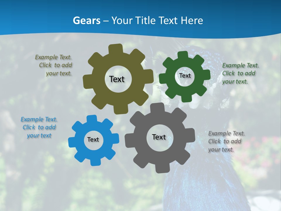 Peacock PowerPoint Template