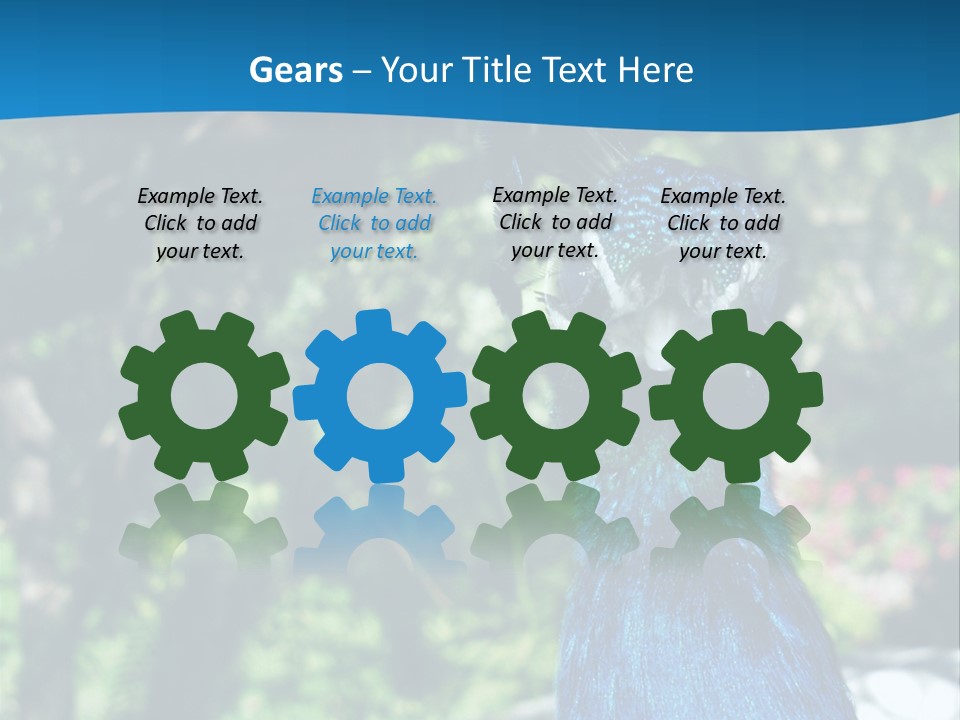 Peacock PowerPoint Template