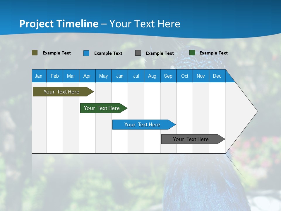 Peacock PowerPoint Template