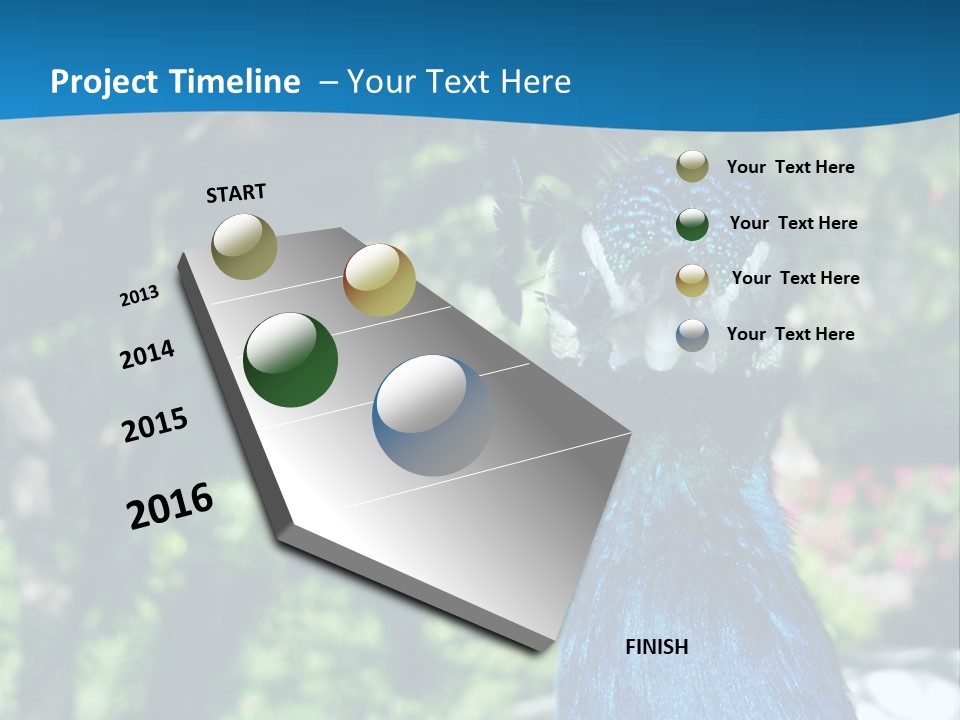 Peacock PowerPoint Template