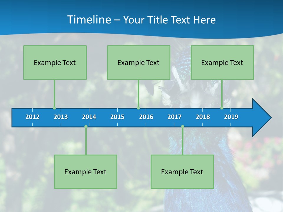 Peacock PowerPoint Template