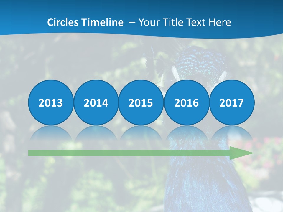 Peacock PowerPoint Template