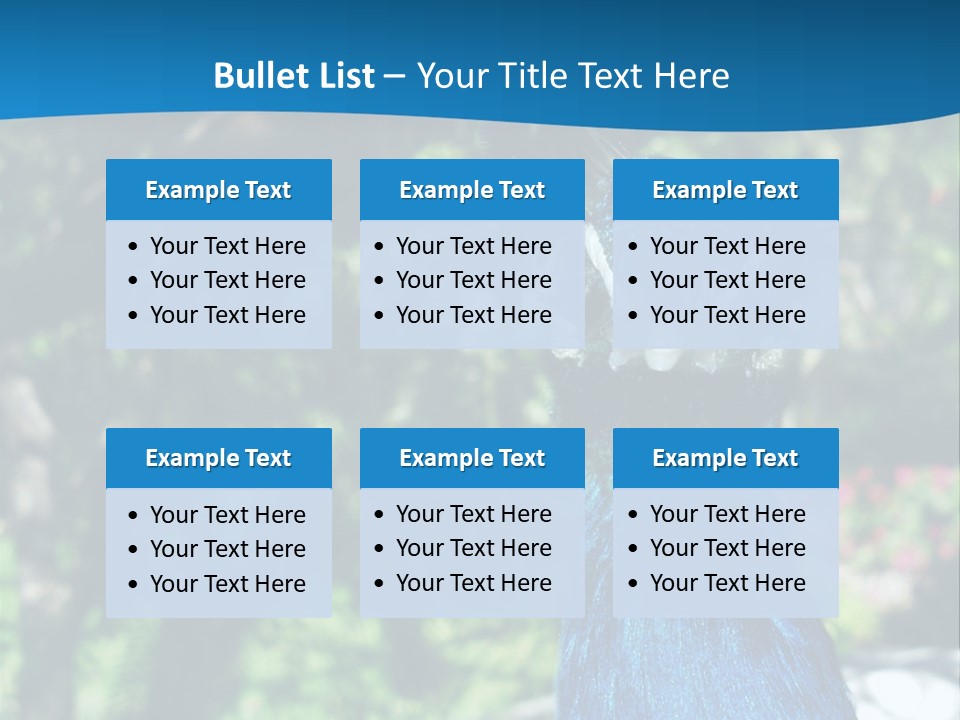 Peacock PowerPoint Template