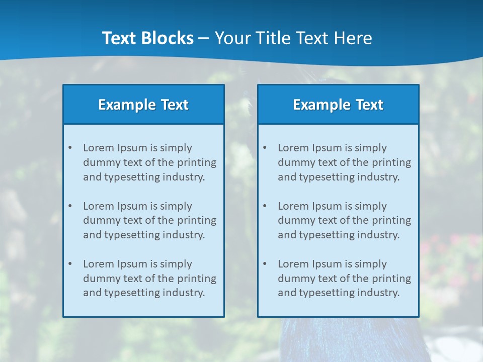 Peacock PowerPoint Template