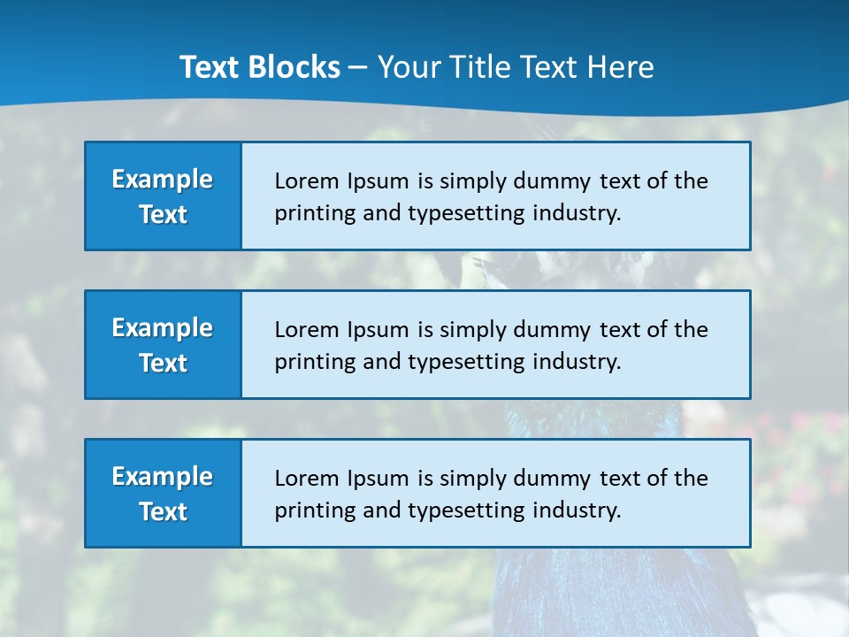 Peacock PowerPoint Template