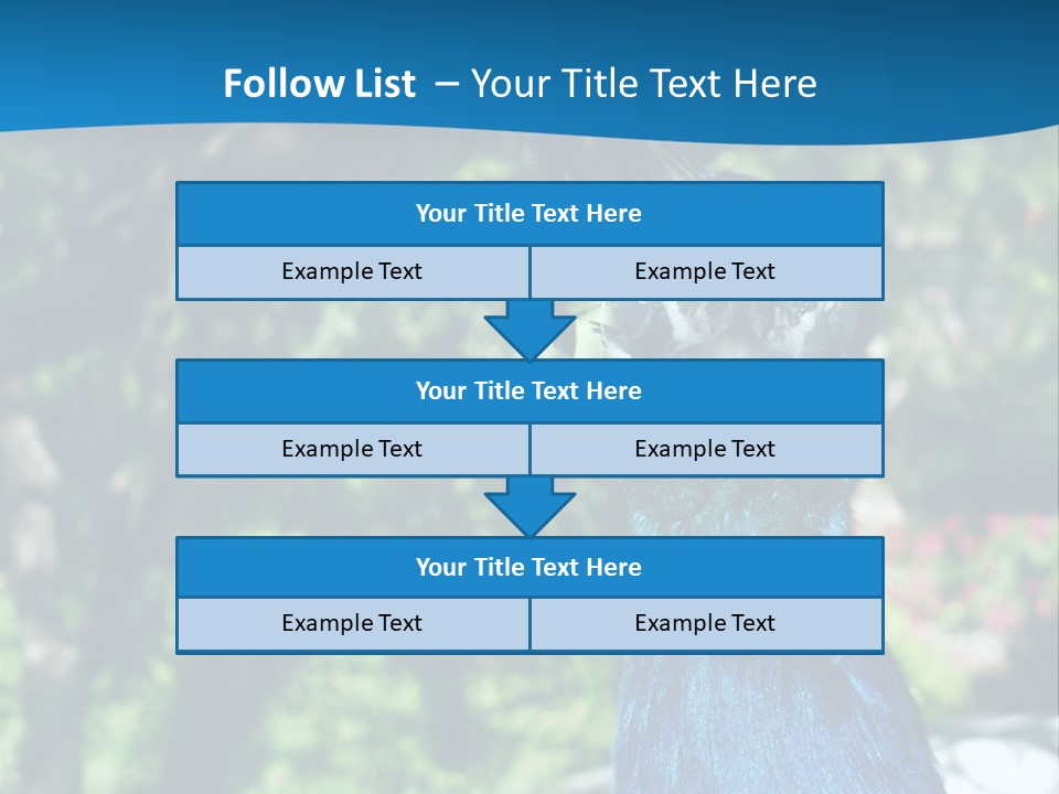Peacock PowerPoint Template