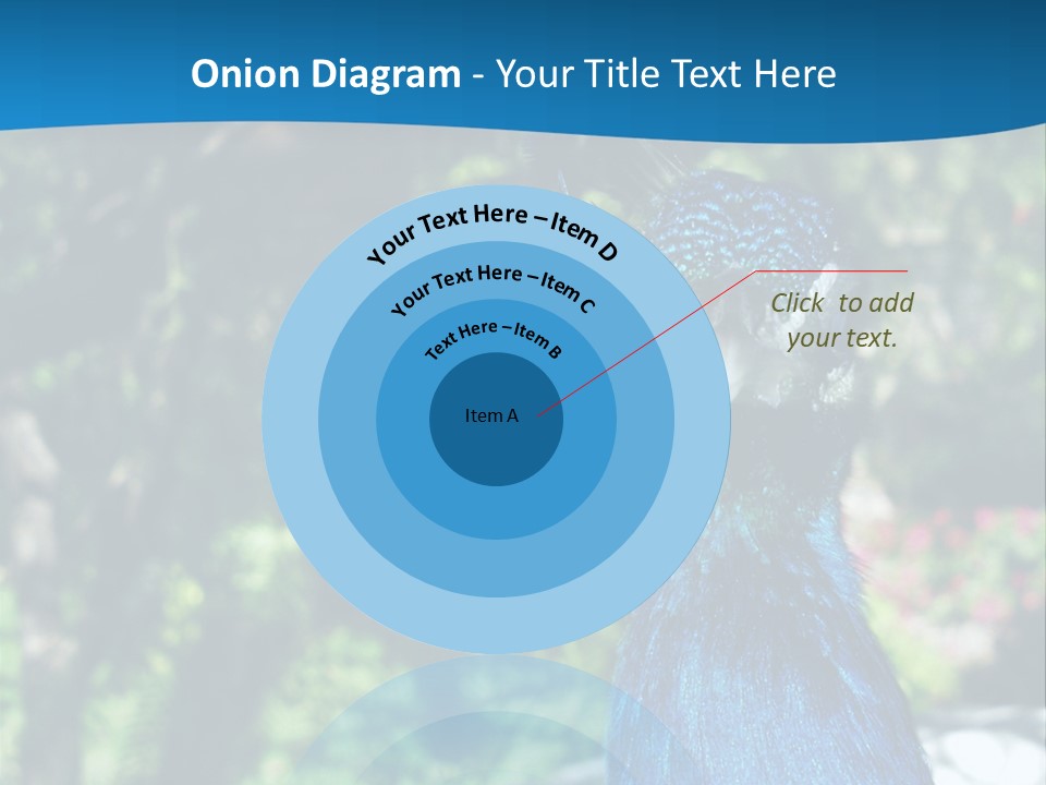 Peacock PowerPoint Template