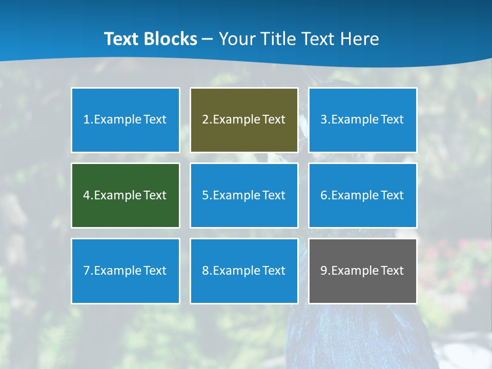 Peacock PowerPoint Template