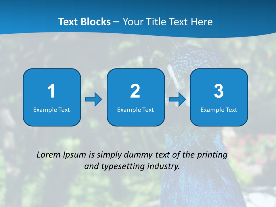 Peacock PowerPoint Template