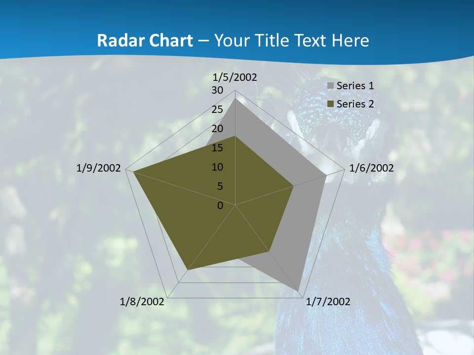 Peacock PowerPoint Template