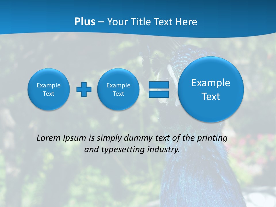 Peacock PowerPoint Template