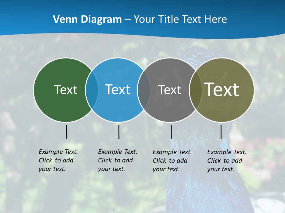 Peacock PowerPoint Template