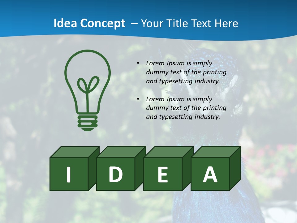 Peacock PowerPoint Template