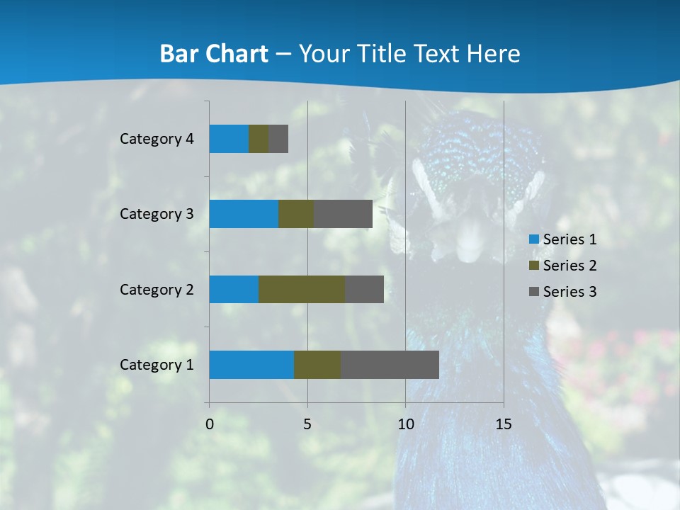 Peacock PowerPoint Template