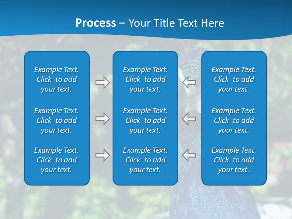 Peacock PowerPoint Template