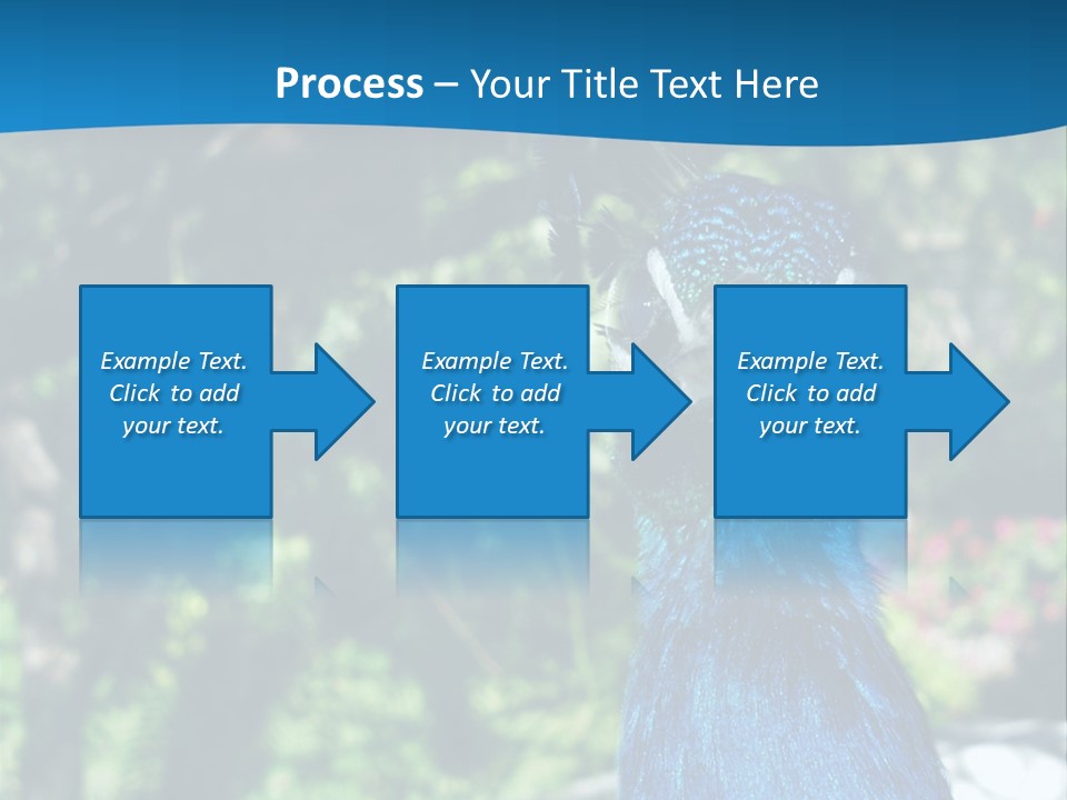 Peacock PowerPoint Template