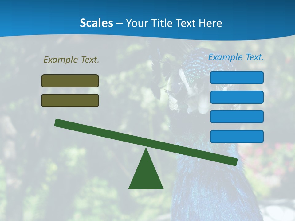 Peacock PowerPoint Template