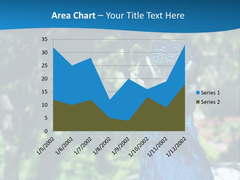 Peacock PowerPoint Template