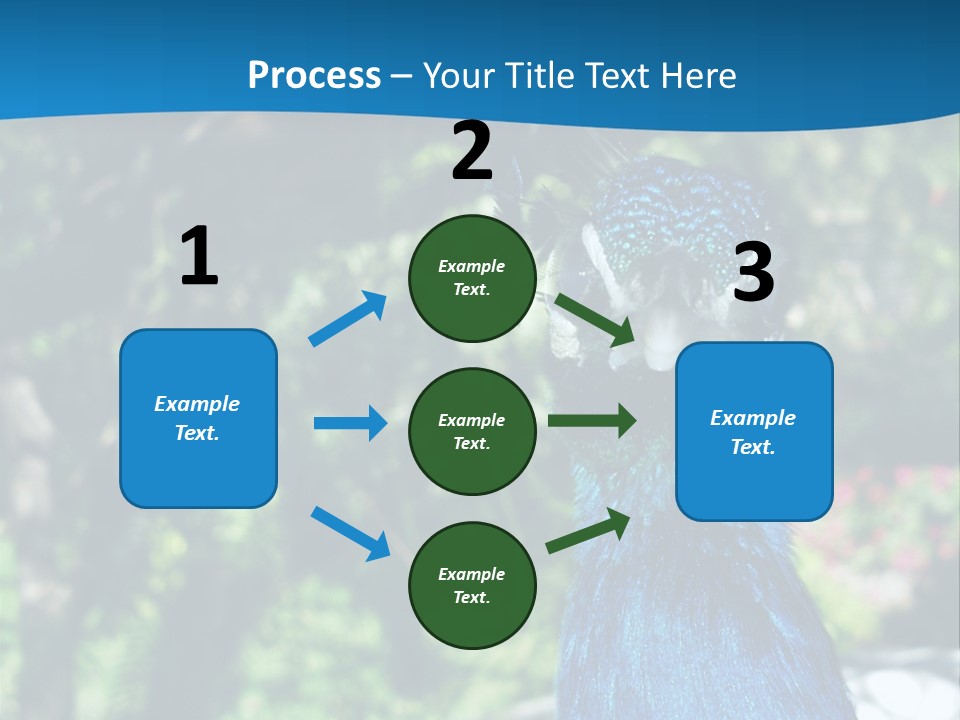 Peacock PowerPoint Template