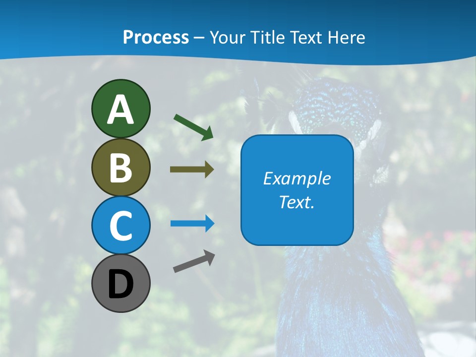 Peacock PowerPoint Template