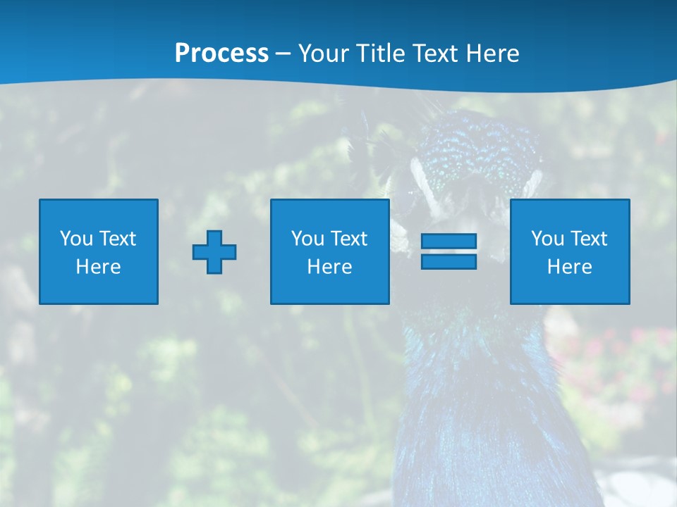Peacock PowerPoint Template