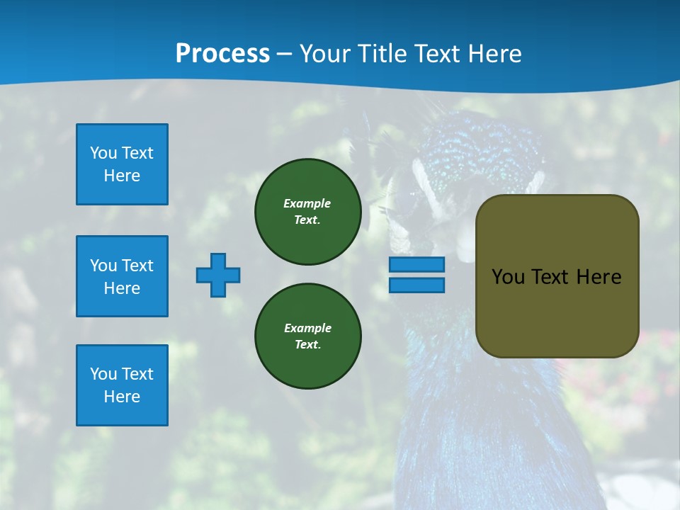 Peacock PowerPoint Template