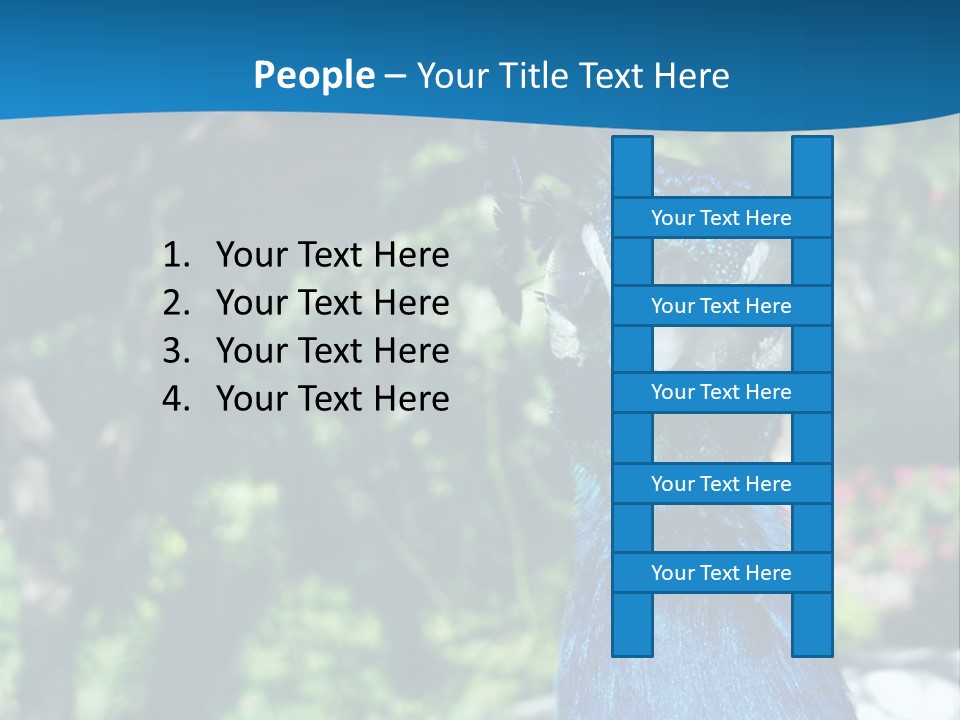 Peacock PowerPoint Template
