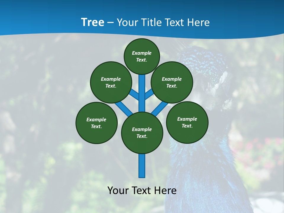 Peacock PowerPoint Template