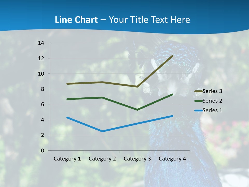 Peacock PowerPoint Template
