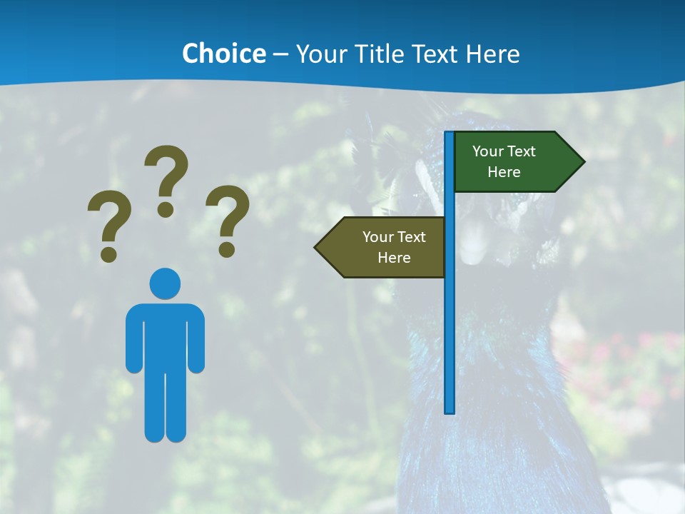 Peacock PowerPoint Template