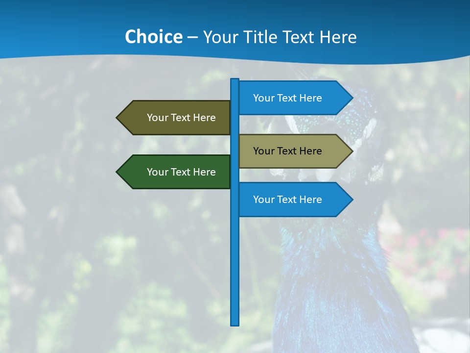 Peacock PowerPoint Template