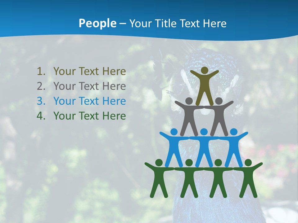 Peacock PowerPoint Template