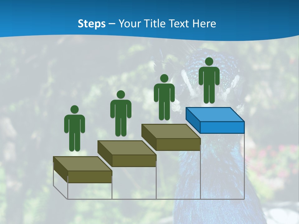 Peacock PowerPoint Template