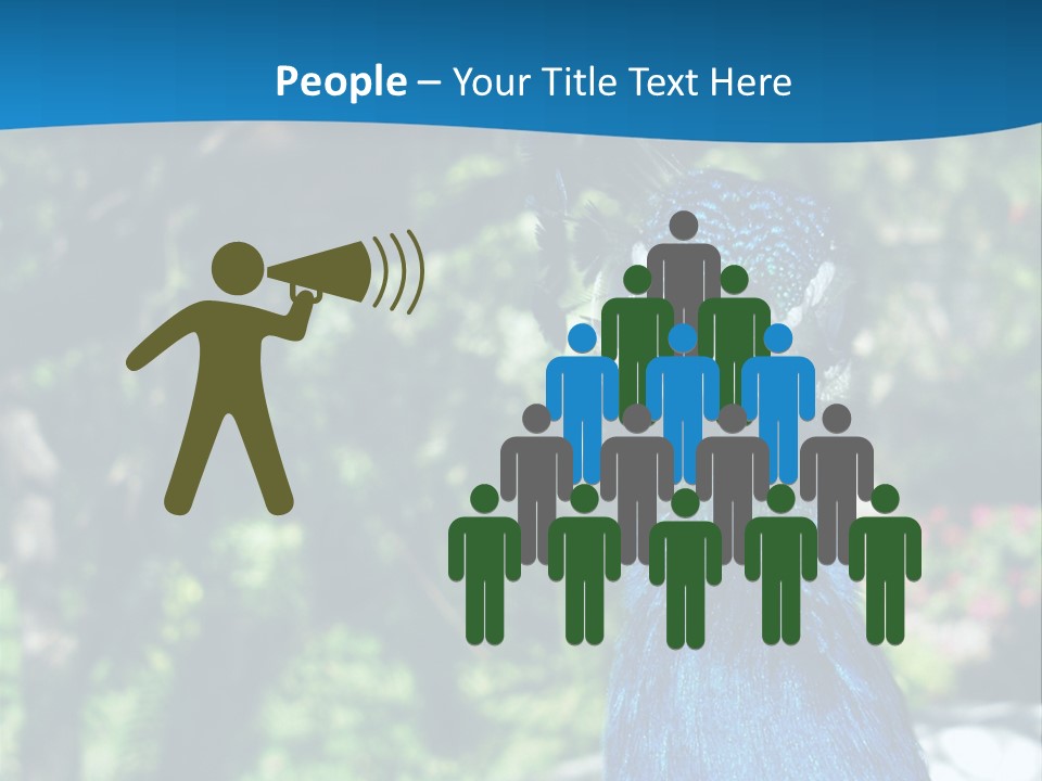 Peacock PowerPoint Template