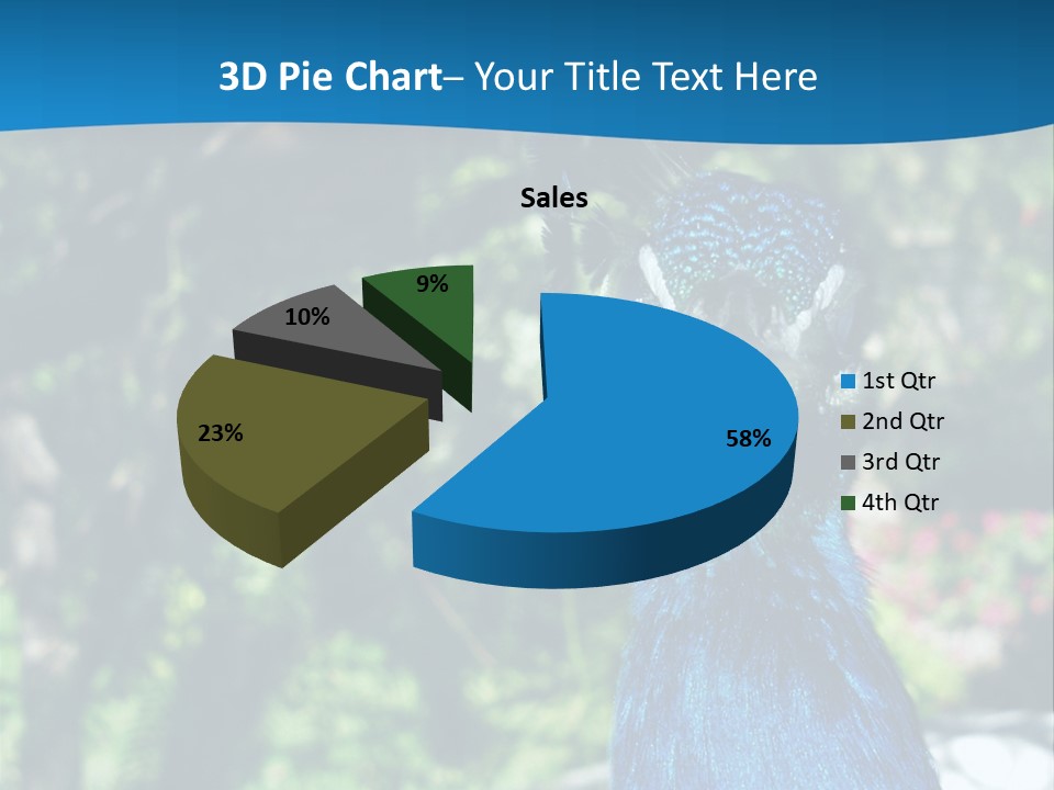 Peacock PowerPoint Template