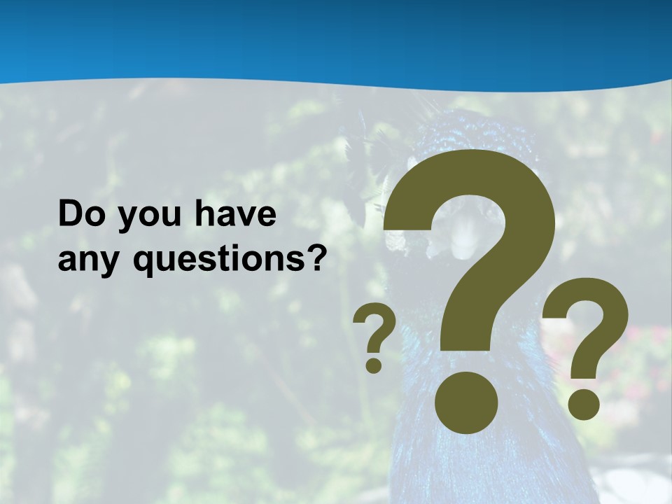 Peacock PowerPoint Template